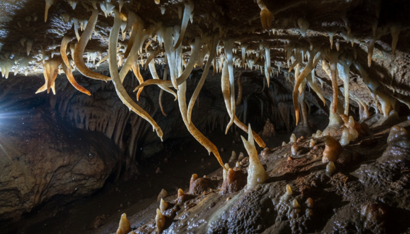 Cerjanska pećina Niš Cerje poseta Cerjanska pećina Niš Cerje poseta